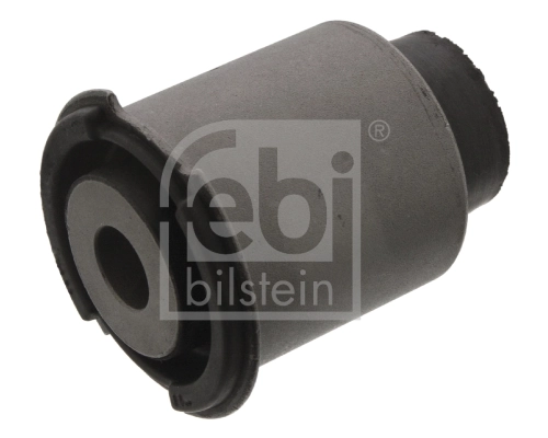 Mounting, control/trailing arm